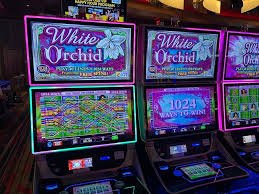 Mekanisme klaim cashback mingguan bettingan untuk Hongkong Pools dengan tombol klaim satu klik
